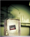 A VXA-1 tape cartridge frozen in a block of ice.
